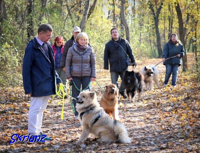 7.11.2021 - Dwix und Howie mit den D-Wurf von Ben Kanaan